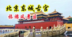 草我的骚Bb中国北京-东城古宫旅游风景区